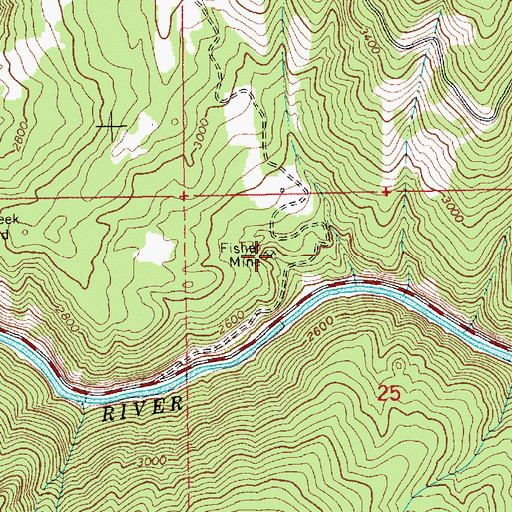 Topographic Map of Fisher Mine, ID