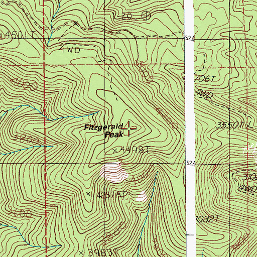 Topographic Map of Fitzgerald Peak, ID