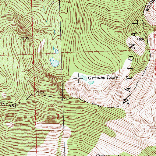 Topographic Map of Grimes Lake, ID