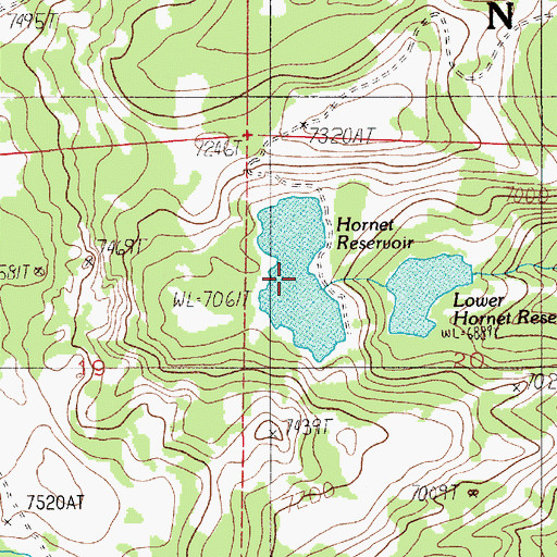 Topographic Map of Hornet Reservoir, ID