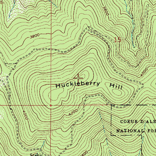 Topographic Map of Huckleberry Hill, ID