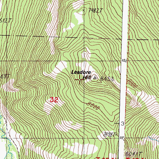 Topographic Map of Leadore Hill, ID