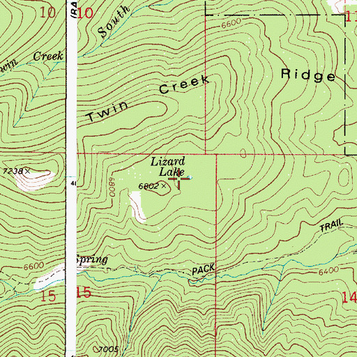 Topographic Map of Lizard Lake, ID