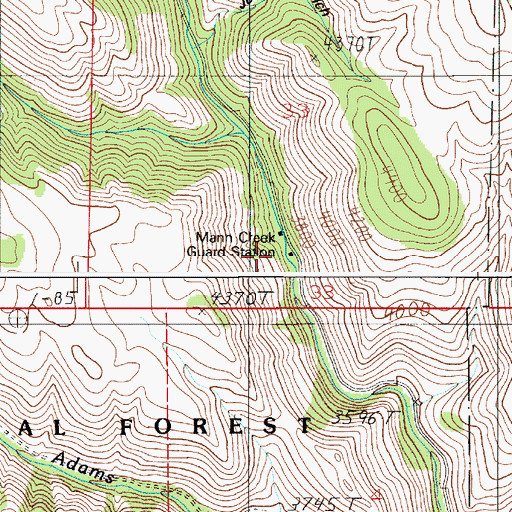 Topographic Map of Mann Creek Guard Station, ID