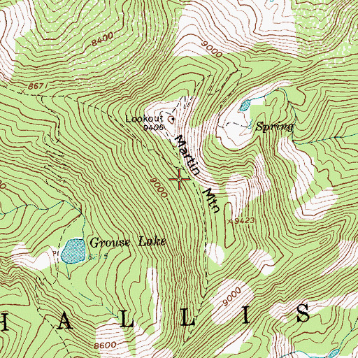 Topographic Map of Martin Mountain, ID