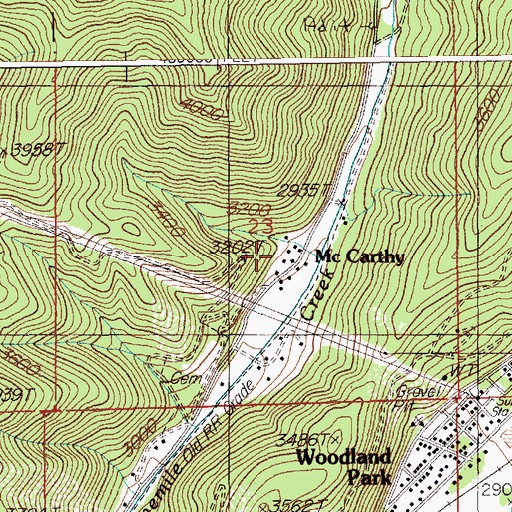 Topographic Map of McCarthy, ID