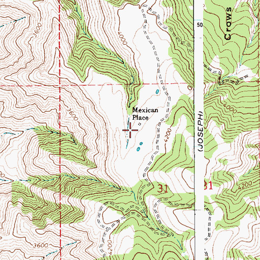 Topographic Map of Mexican Place, ID