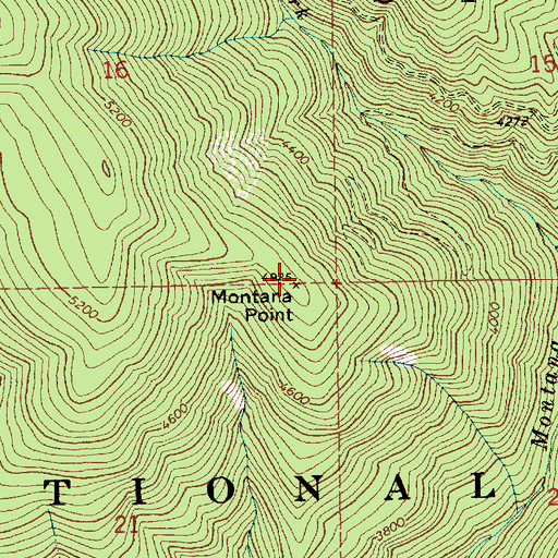 Topographic Map of Montana Point, ID