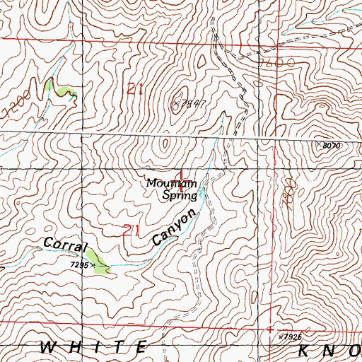Topographic Map of Mountain Spring, ID