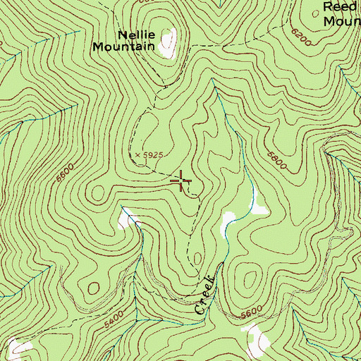 Topographic Map of Nellie Mountain Trail, ID