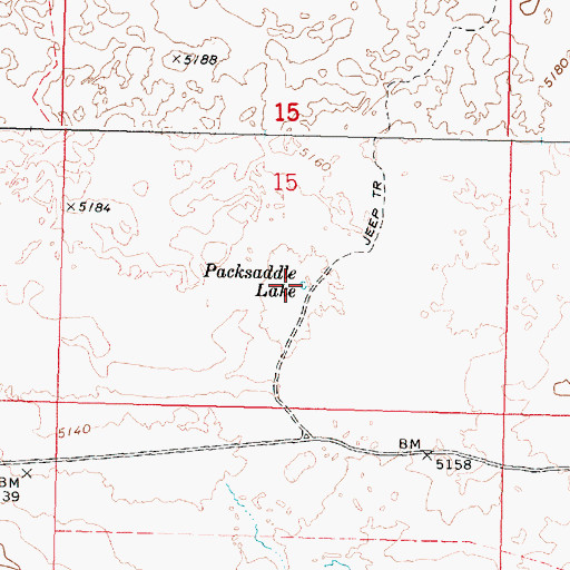 Topographic Map of Packsaddle Lake, ID