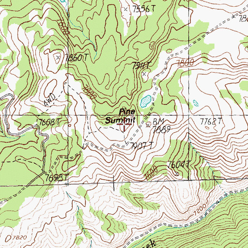 Topographic Map of Pine Summit, ID
