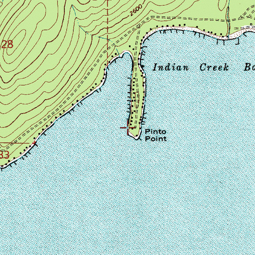 Topographic Map of Pinto Point, ID
