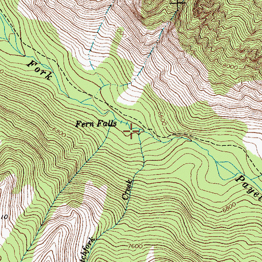 Topographic Map of Pitchfork Creek, ID