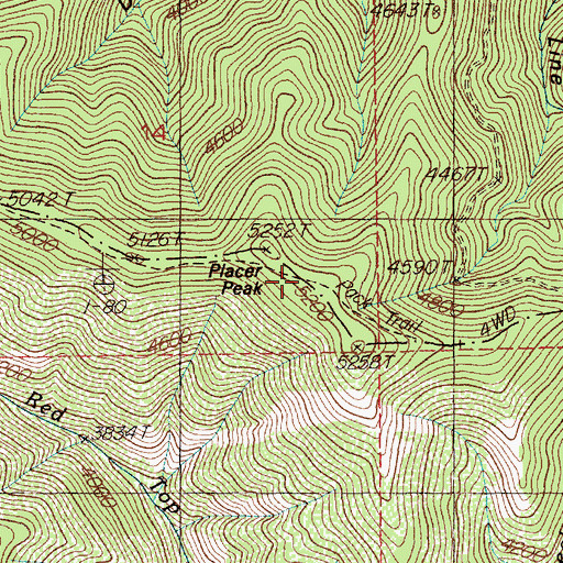 Topographic Map of Placer Peak, ID