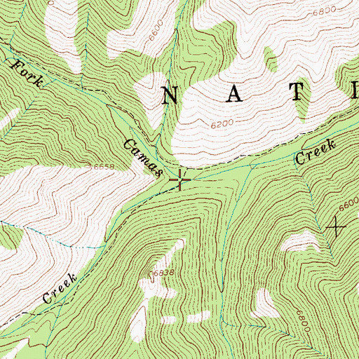 Topographic Map of Pole Creek, ID