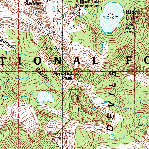 Topographic Map of Pyramid Peak, ID