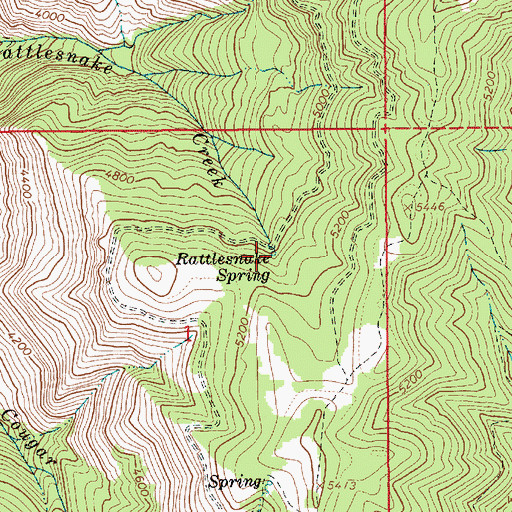 Topographic Map of Rattlesnake Spring, ID