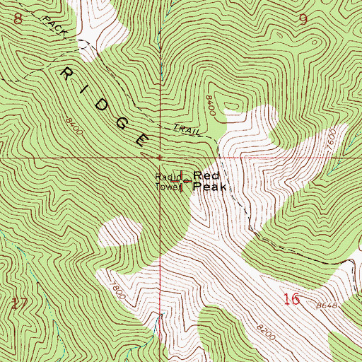 Topographic Map of Red Peak, ID