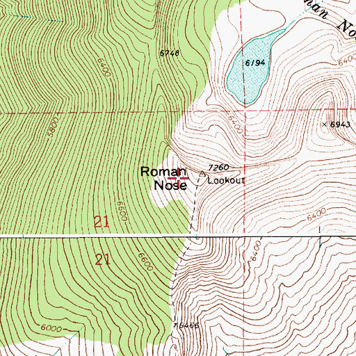 Topographic Map of Roman Nose, ID