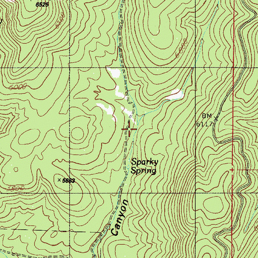 Topographic Map of Sparky Spring, AZ