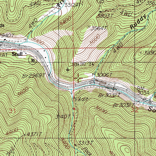Topographic Map of Ruddy Gulch, ID