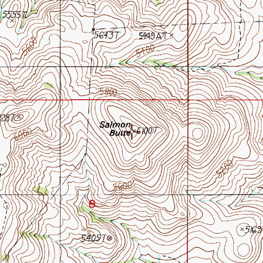 Topographic Map of Salmon Butte, ID