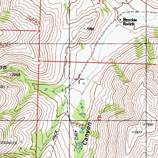Topographic Map of Sawmill Canyon, ID