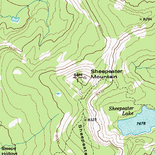 Topographic Map of Sheepeater Mountain, ID