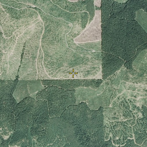 Aerial/Satellite Image of Shoepack Point, ID