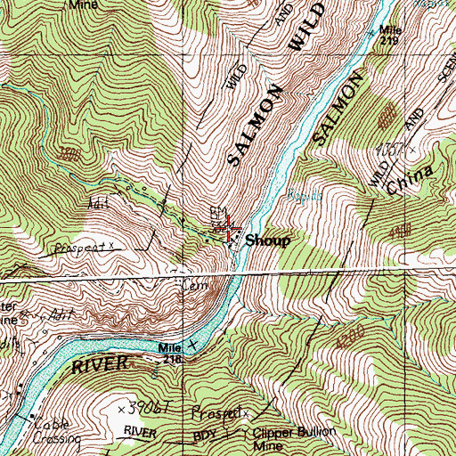Topographic Map of Shoup, ID