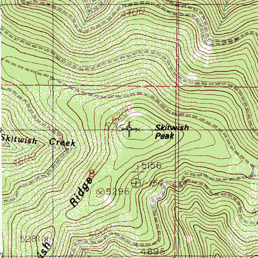 Topographic Map of Skitwish Peak, ID