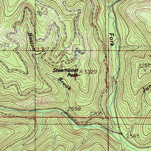 Topographic Map of Steamboat Peak, ID