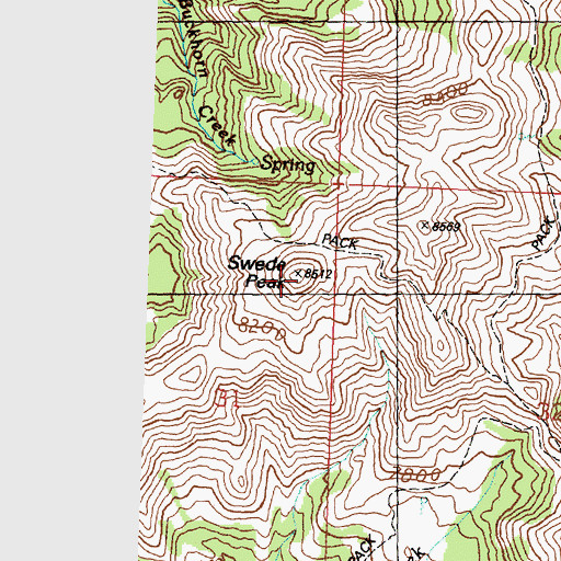Topographic Map of Swede Peak, ID