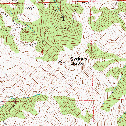 Topographic Map of Sydney Butte, ID