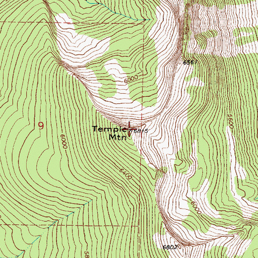 Topographic Map of Temple Mountain, ID