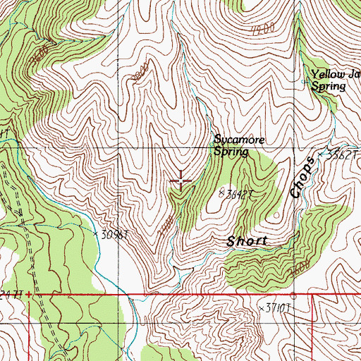 Topographic Map of Sycamore Spring, AZ