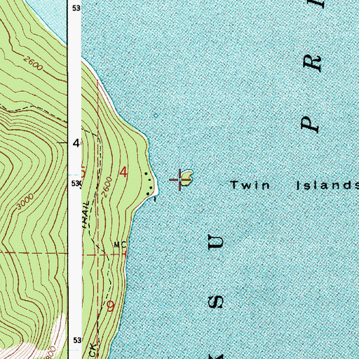 Topographic Map of Twin Islands, ID
