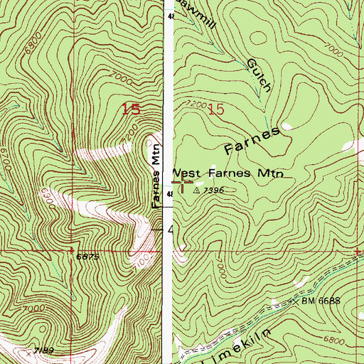 Topographic Map of West Farnes Mountain, ID