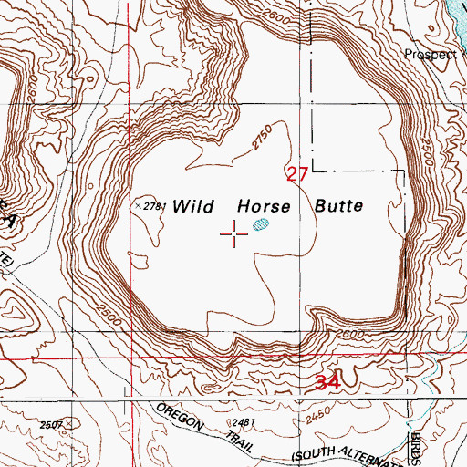 Topographic Map of Wild Horse Butte, ID