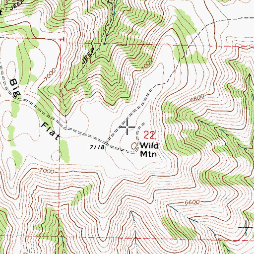 Topographic Map of Wild Mountain, ID