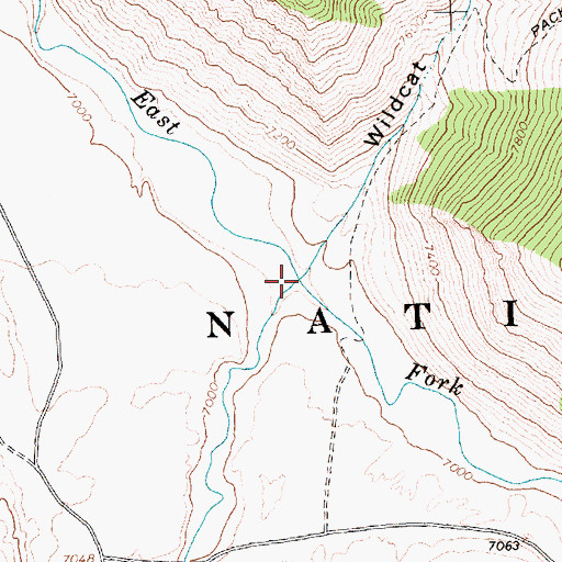 Topographic Map of Wildhorse Creek, ID