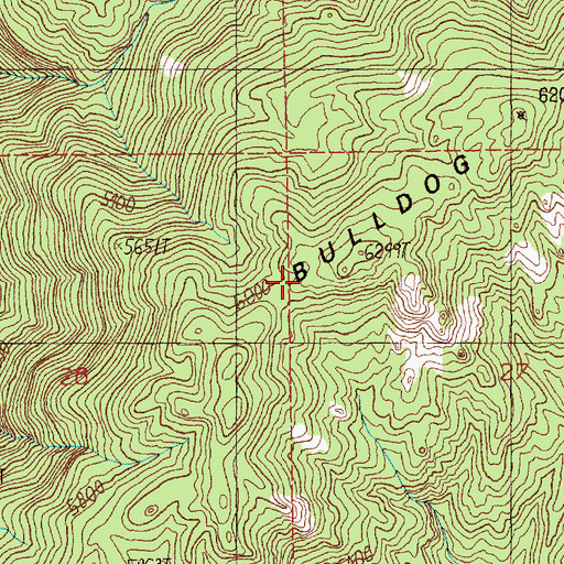 Topographic Map of Bulldog Ridge, ID