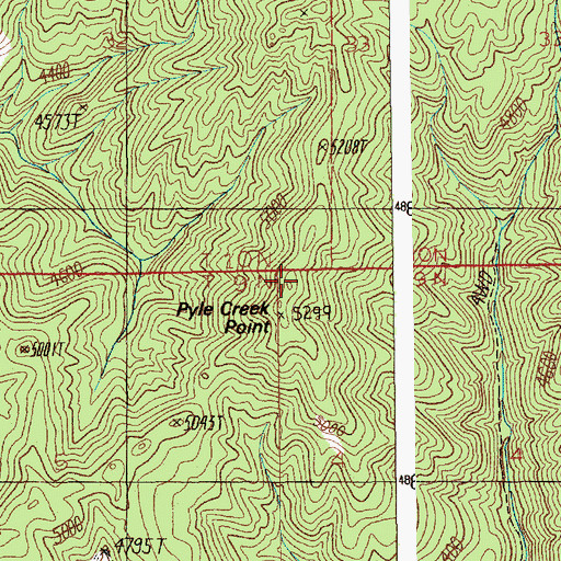 Topographic Map of Pyle Creek Point, ID