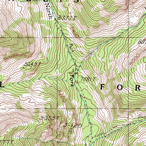 Topographic Map of Lake Fork, ID