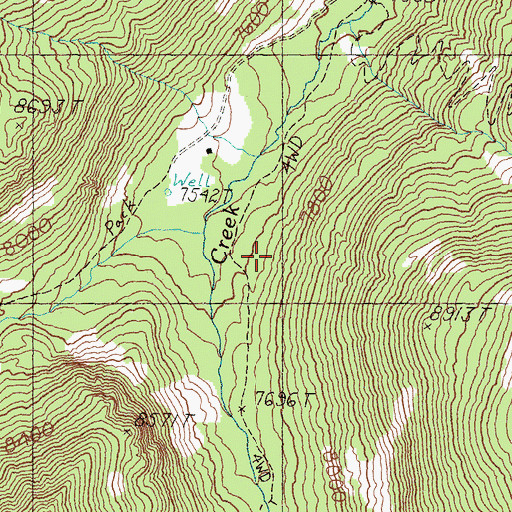Topographic Map of Big Eightmile Campground, ID