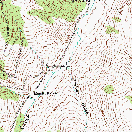 Topographic Map of Treloar Gulch, ID