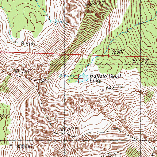 Topographic Map of Buffalo Skull Lake, ID