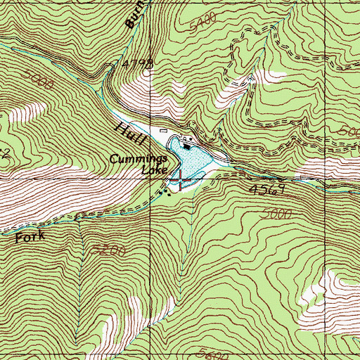 Topographic Map of Cummings Lake, ID