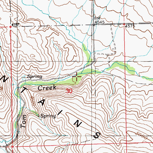 Topographic Map of East Fork Long Tom Creek, ID